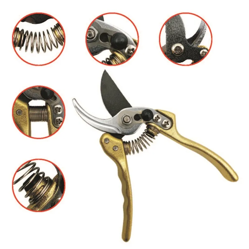 Tijeras de podar doradas, tijeras de jardín, secateurs florales de jardín, tijeras de podar