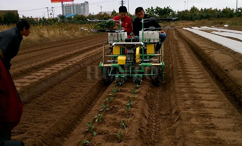 Transplantador de verduras multifuncional Pimiento / Pepino / Cebolla