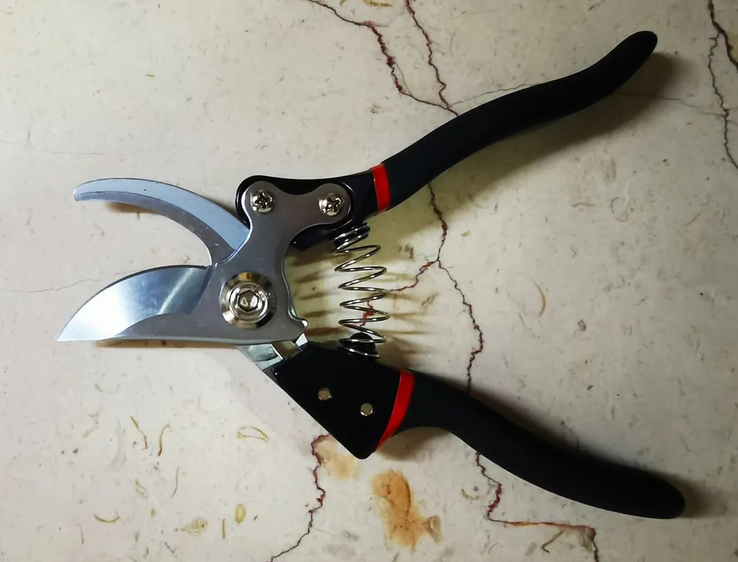 Tijeras de podar de bypass de acero al carbono de alta calidad con mango de PVC para podar