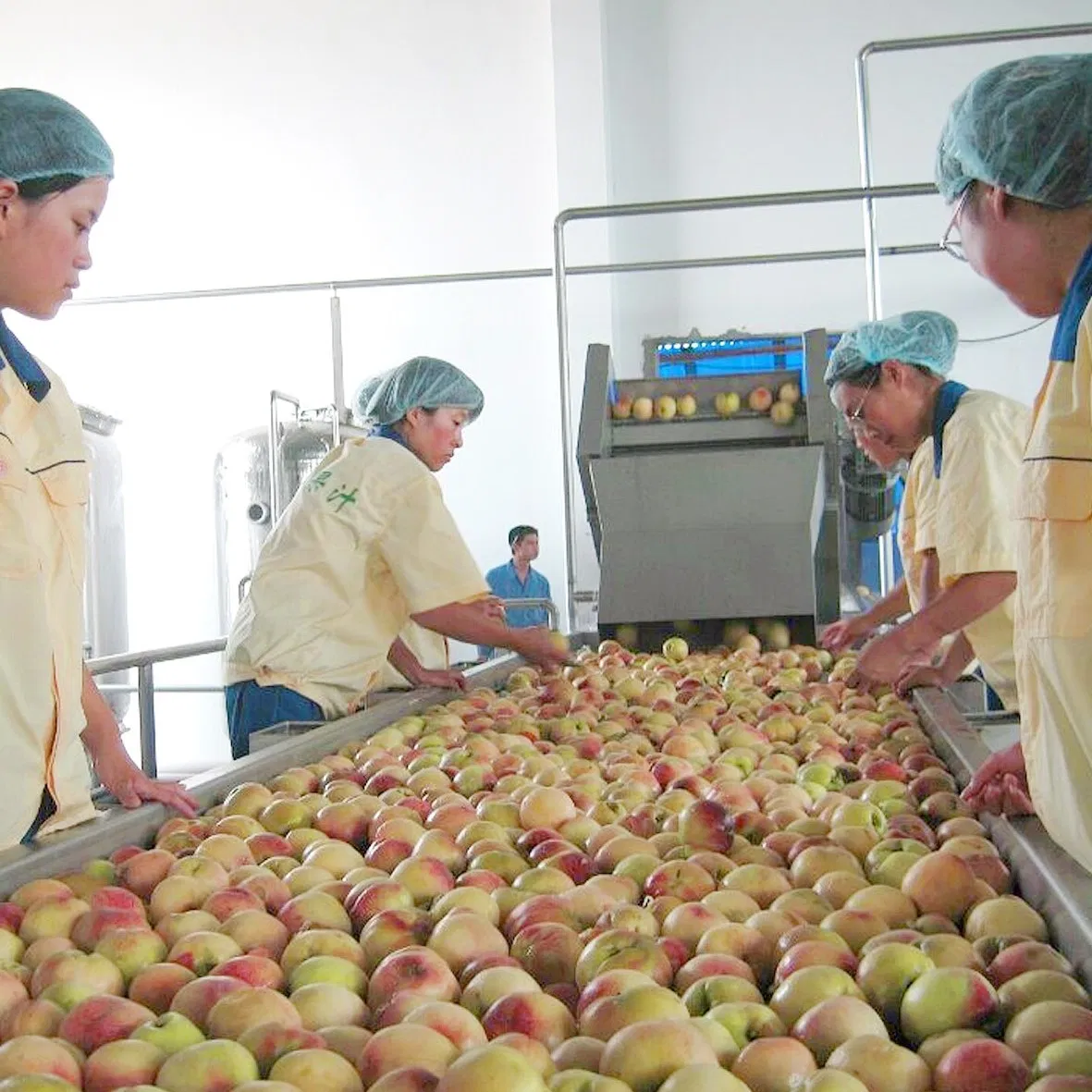 Máquina de clasificación de cacahuetes y soja de alta eficiencia para el procesamiento de verduras