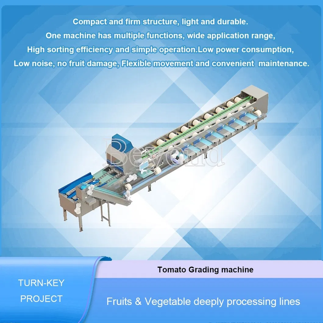 Equipo de procesamiento de jugo de frutas, máquina automática de clasificación de mangos