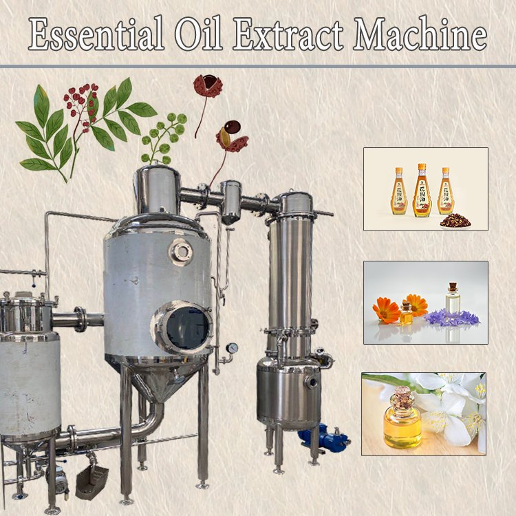 Extractor de aceite de alimentos vegetales para tulipán, violeta, girasol, loto, diente de león, orquídea, caléndula, roble