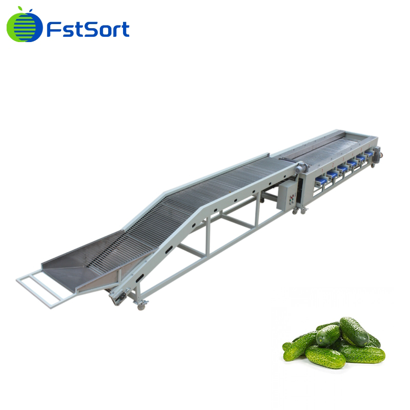 Máquina de clasificación de verduras Fstsort, clasificador de pepinillos, máquina de procesamiento de pepinillos, planta de procesamiento de verduras, equipo de procesamiento de verduras, máquina de clasificación y graduación