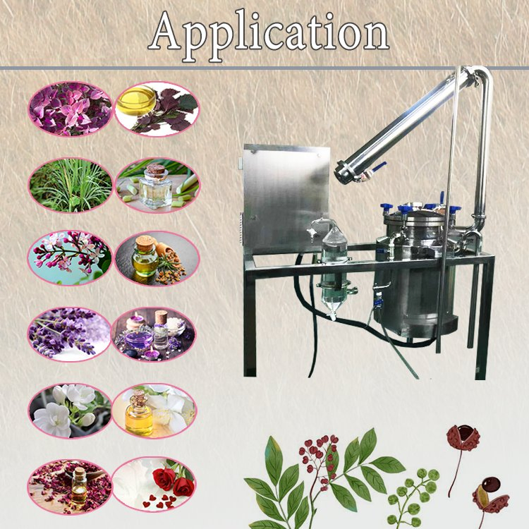 Extractor de aceite de alimentos vegetales para tulipán, violeta, girasol, loto, diente de león, orquídea, caléndula, roble
