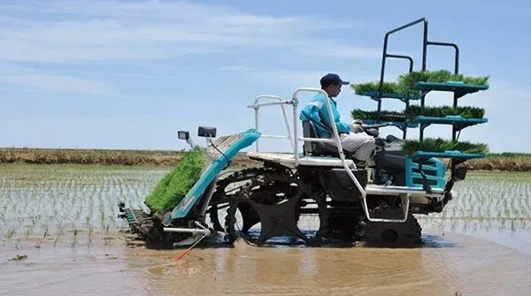 Maquinaria Agrícola Kubota 6 Transplantadora de Arroz de Tipo Montado en Fila Spv-6cmd