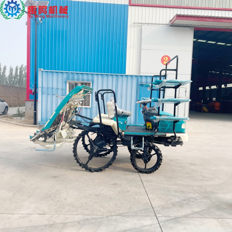 8-Line Trasplantador de arroz de gasolina Planter de plántulas de arroz