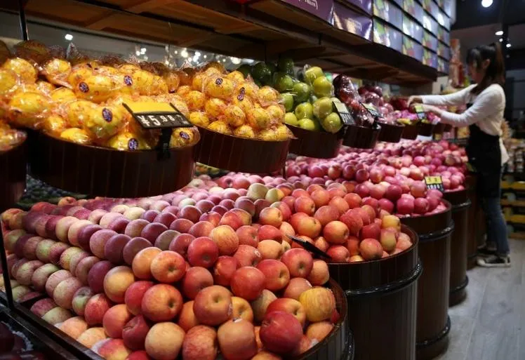 Máquina de lavado, encerado, clasificación de frutas cítricas industriales de manzana, limón, lima, naranja y batata