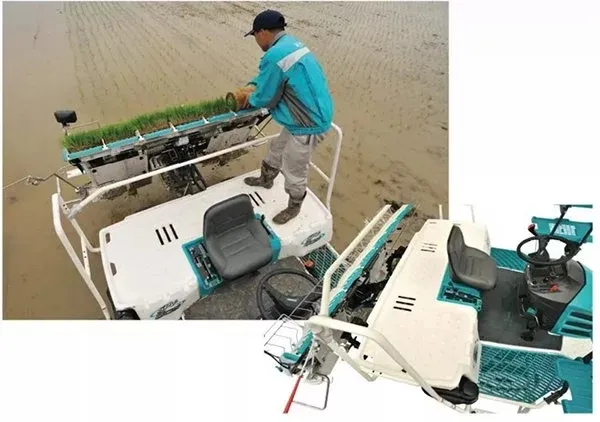Maquinaria Agrícola Kubota 6 Transplantadora de Arroz de Tipo Montado en Fila Spv-6cmd