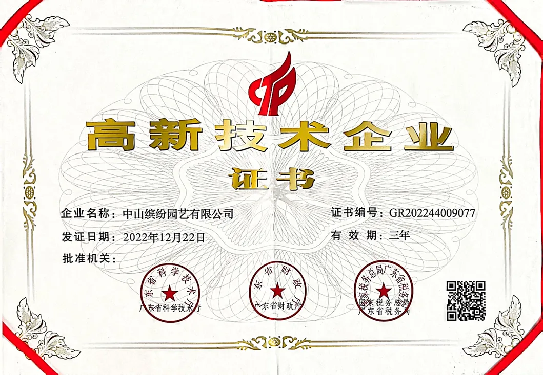 Certificado 1