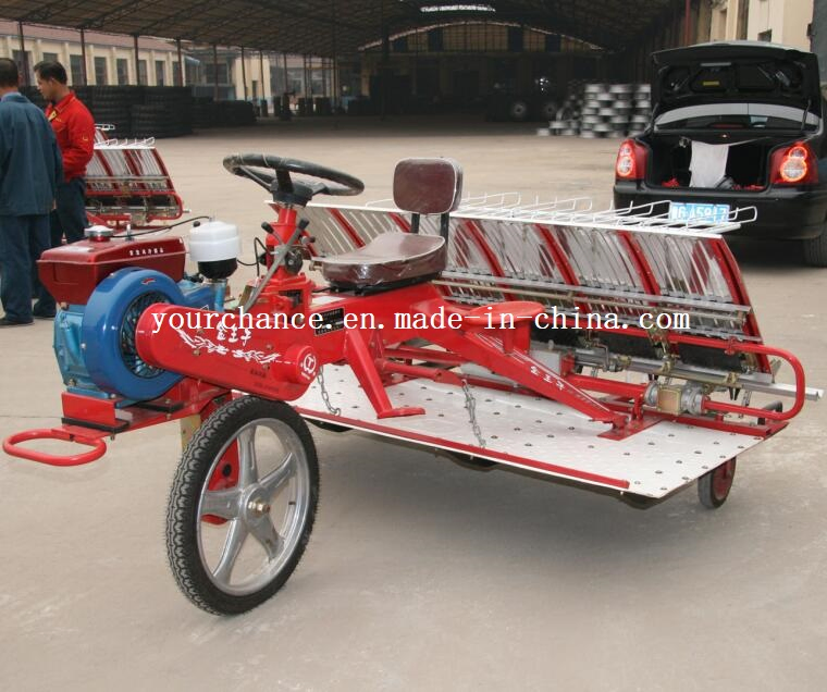 Venta Caliente en India 2z-8238 8 Filas 238mm Ancho Tipo de Conducción Transplantador de Arroz de Alta Calidad y Bajo Precio