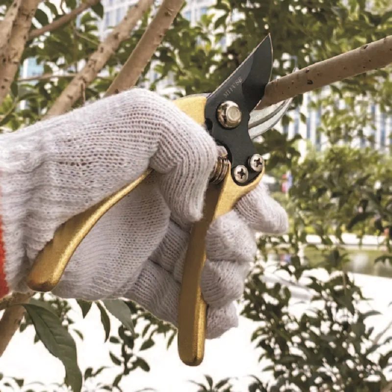 Tijeras de podar doradas, tijeras de jardín, secateurs florales de jardín, tijeras de podar