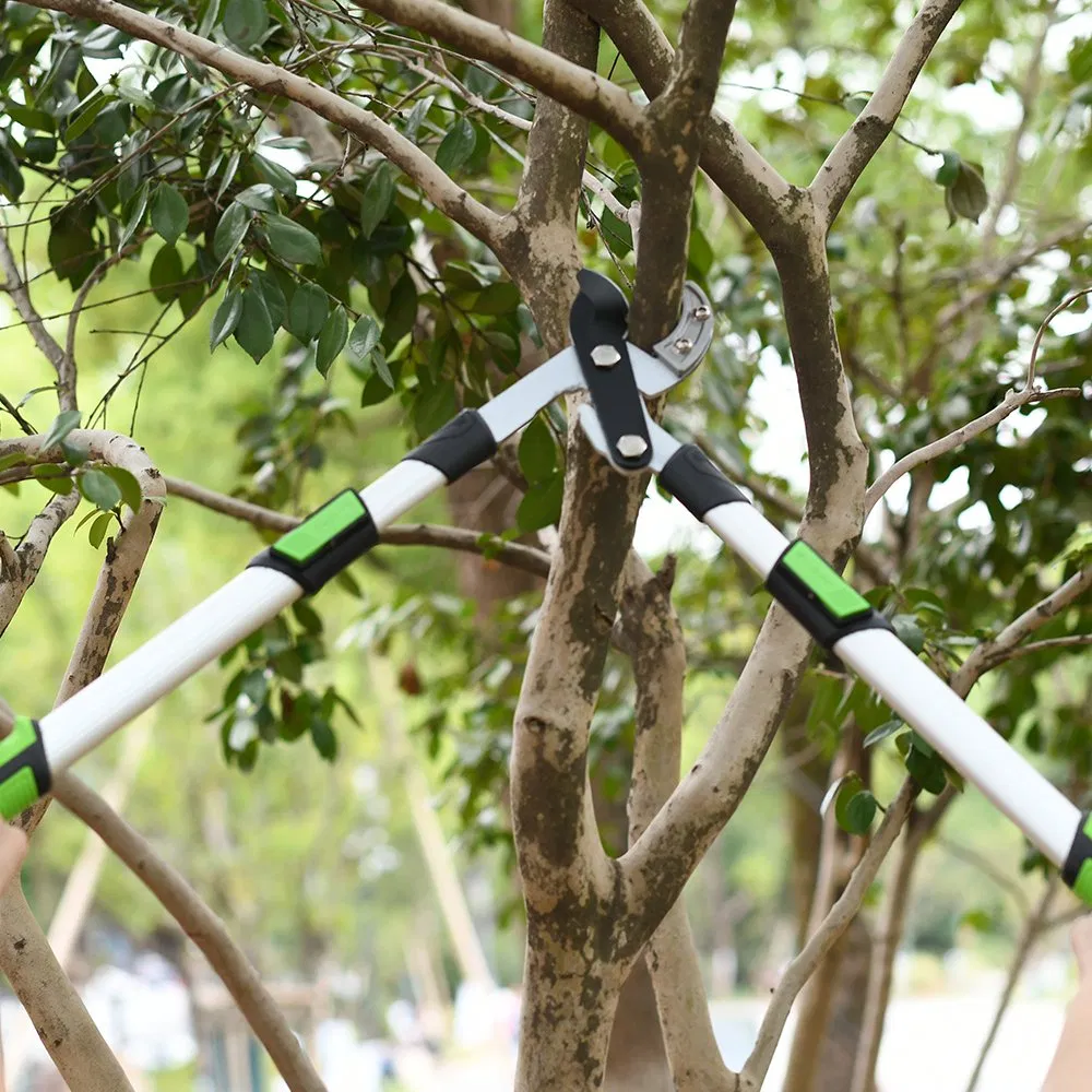 Podadoras telescópicas profesionales para jardinería, cortadoras de ramas con mango de aluminio