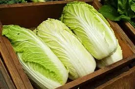 Máquina de trasplante de plántulas de vegetales de alta calidad