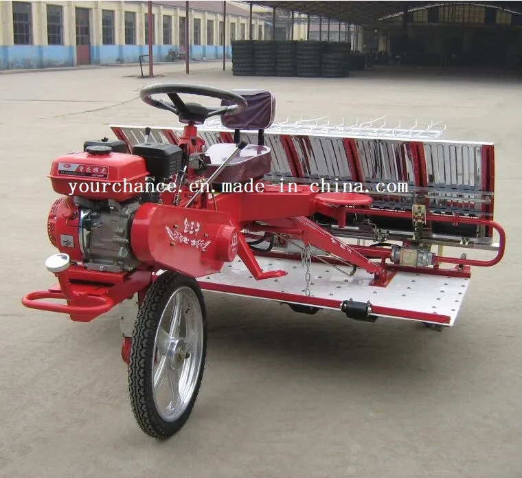 Venta Caliente en India 2z-8238 8 Filas 238mm Ancho Tipo de Conducción Transplantador de Arroz de Alta Calidad y Bajo Precio