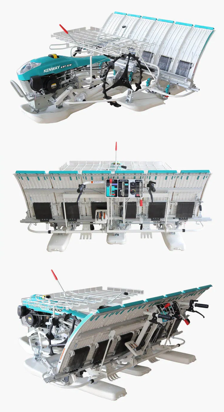 Estructura del motor y transmisión