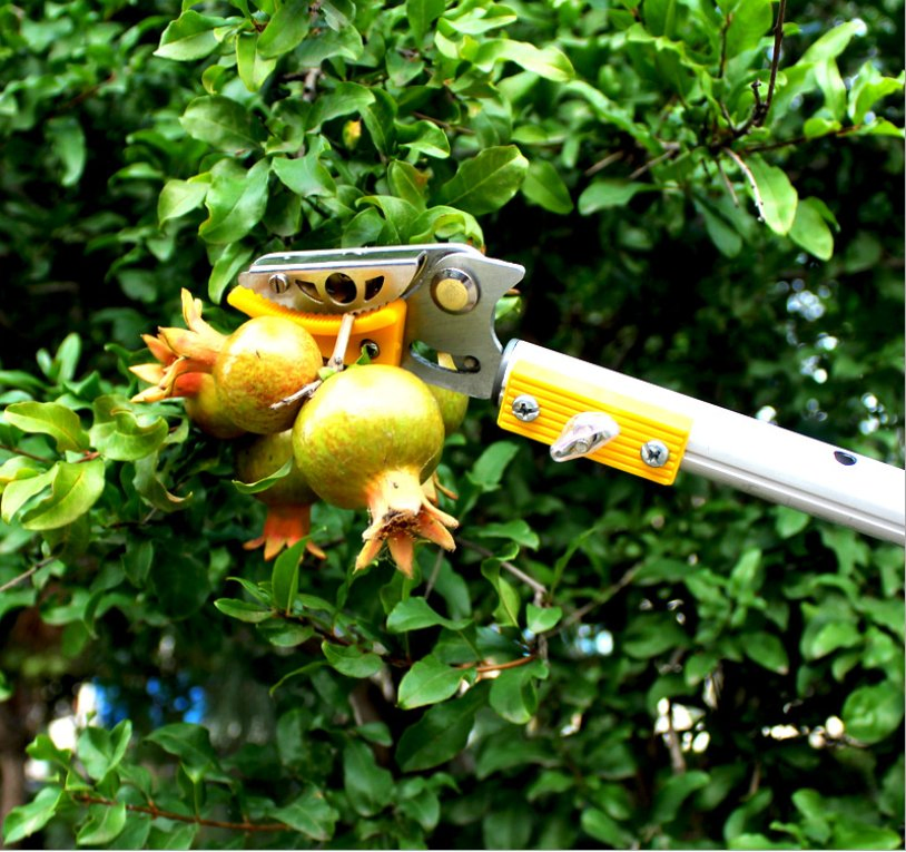 Cortador de ramas telescópico con mango extensible, 3.67-5.45 FT, cortador de ramas de largo alcance, recolector de frutas con cabeza de cuchilla giratoria