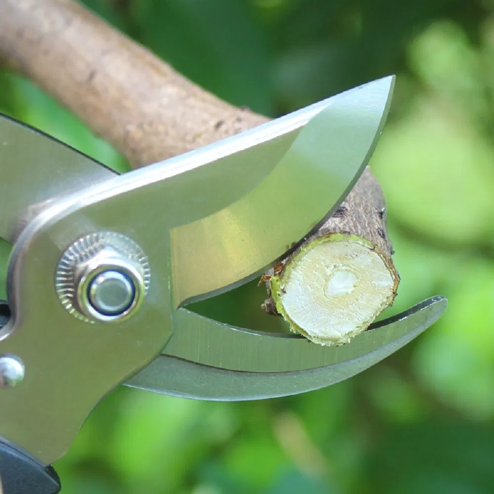 Tijeras de mano multiusos para podar