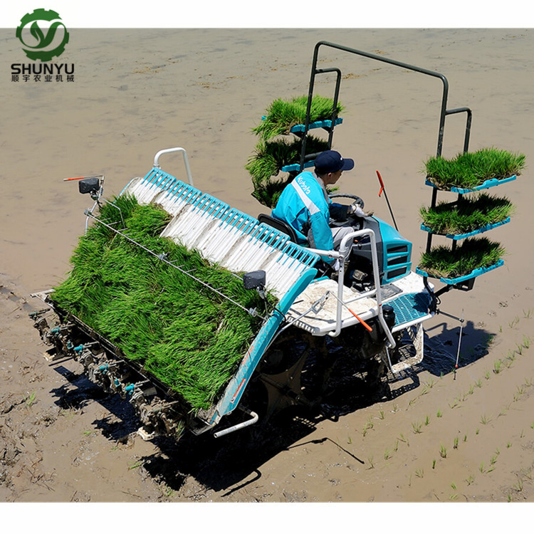 Maquinaria Agrícola Kubota 6 Transplantadora de Arroz de Tipo Montado en Fila Spv-6cmd