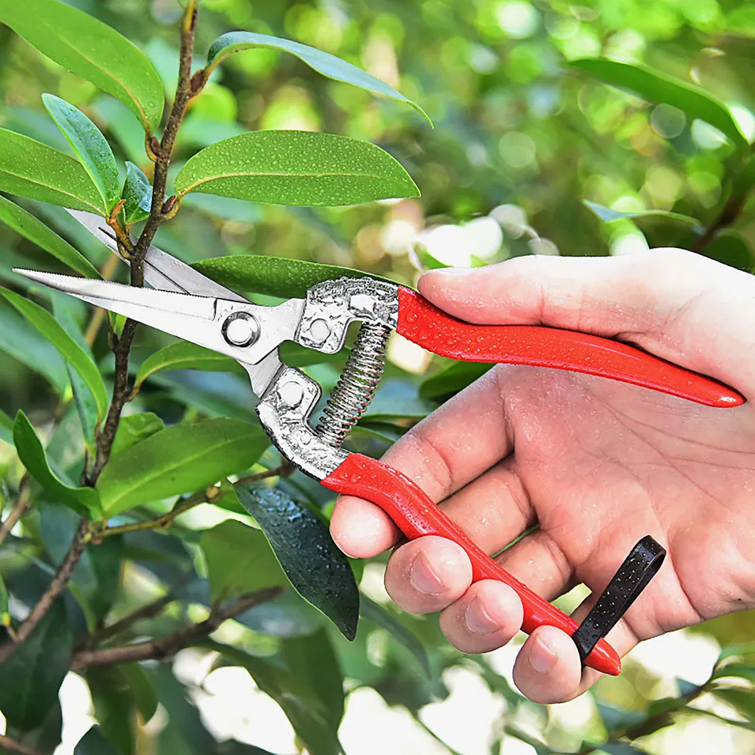 Tijeras de Jardín de Acero Inoxidable con Cuchillas de Acero Sk5 y Punta Recta para Podar