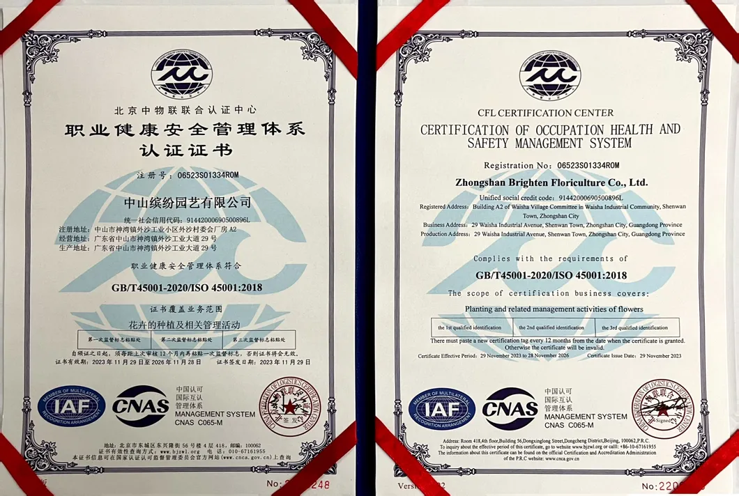 Certificado 4