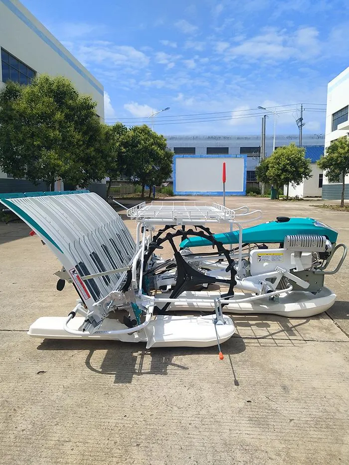 Transplantador de arroz de alta velocidad para caminar en campo de arroz Manuel Paddy Field en venta