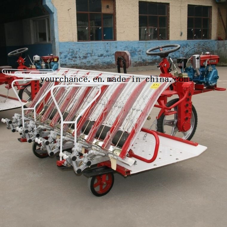 Venta Caliente en India 2z-8238 8 Filas 238mm Ancho Tipo de Conducción Transplantador de Arroz de Alta Calidad y Bajo Precio