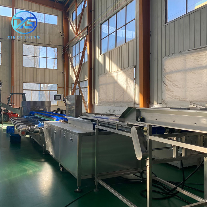 Máquina clasificadora de cebollas de alto volumen para cultivadores agrícolas