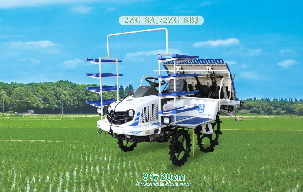 Transplantador de arroz 2ZG-8AJ/2ZG-8BJ