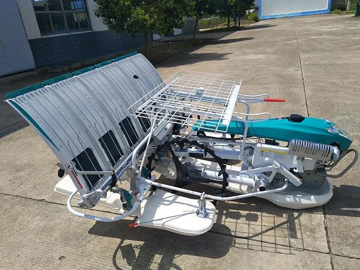 Transplantador de arroz de alta velocidad para caminar en campo de arroz Manuel Paddy Field en venta