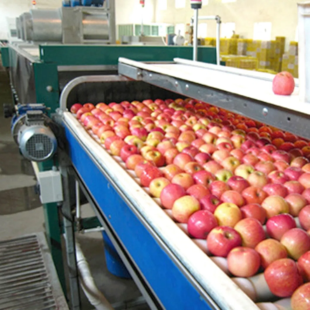 Máquina de clasificación de cacahuetes y soja de alta eficiencia para el procesamiento de verduras