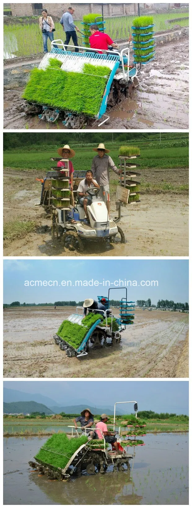 6 Filas Tipo de Montaje Transplantador de Plántulas de Arroz de Alta Velocidad