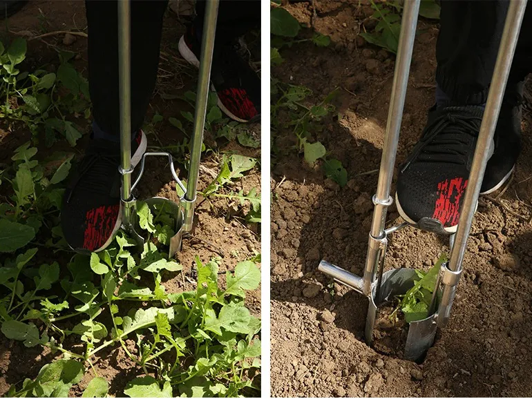 Ym-D7.5 Transplantador de Acero Inoxidable y Herramienta de Trasplante para Plántulas Recientemente Desenterradas