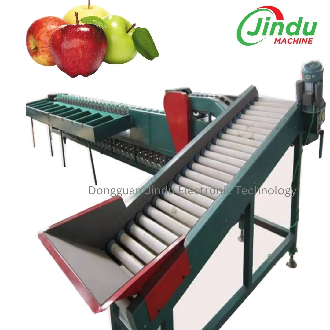 Máquina de Clasificación de Manzanas Clasificar por Peso Procesamiento de Frutas