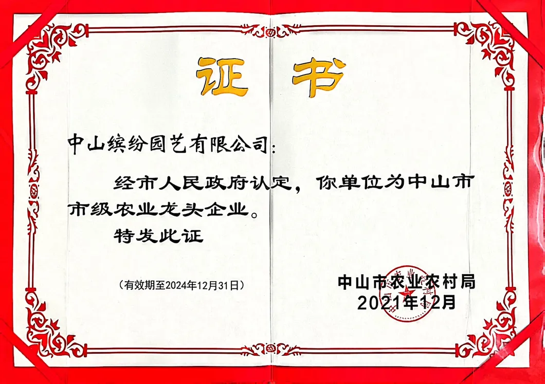 Certificado 2
