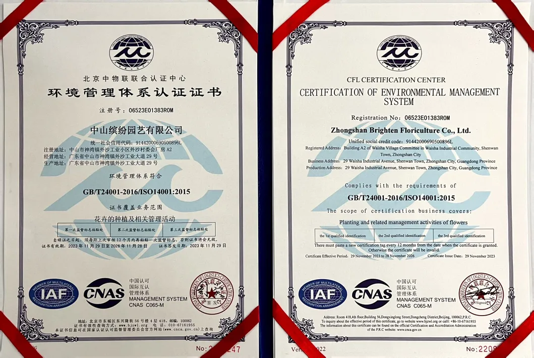 Certificado 3