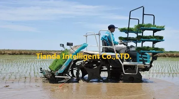 Marca Buena Calidad 6 Filas Transplantadora de Arroz