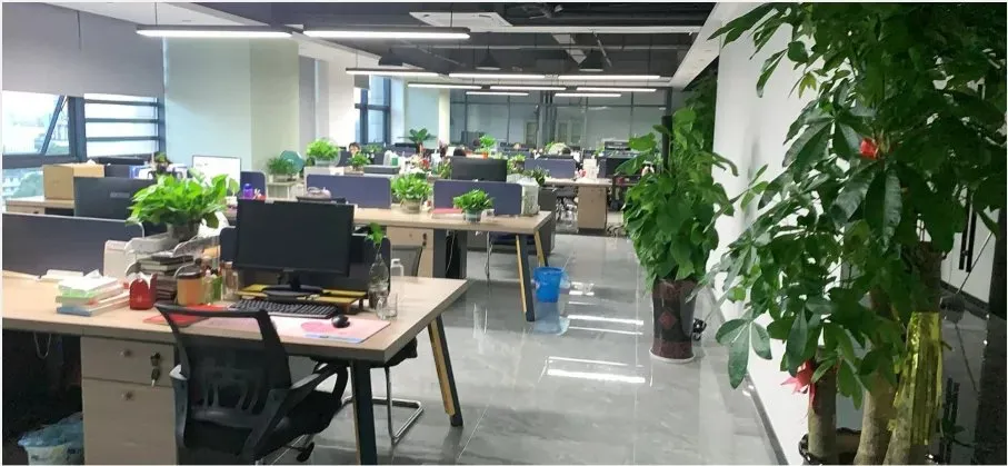 Perfil de la empresa