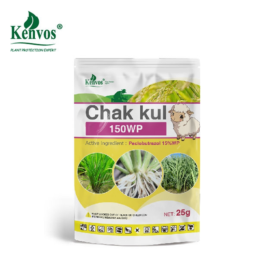 Kenvos Pgr Paclobutrazol 95% Tc 15% Wp Utilizado para Árboles Frutales 'chak Kul 150wp' Regulador del Crecimiento de Plantas