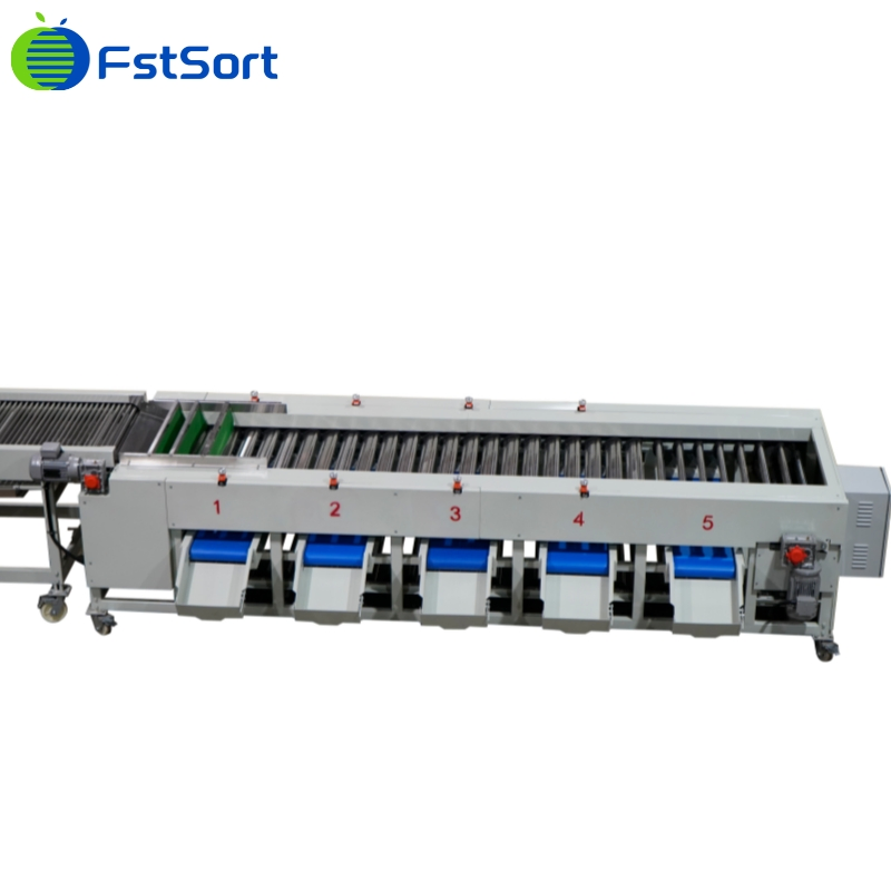 Máquina de clasificación de verduras Fstsort, clasificador de pepinillos, máquina de procesamiento de pepinillos, planta de procesamiento de verduras, equipo de procesamiento de verduras, máquina de clasificación y graduación