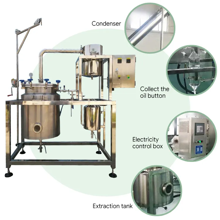 Extractor de aceite de alimentos vegetales para tulipán, violeta, girasol, loto, diente de león, orquídea, caléndula, roble