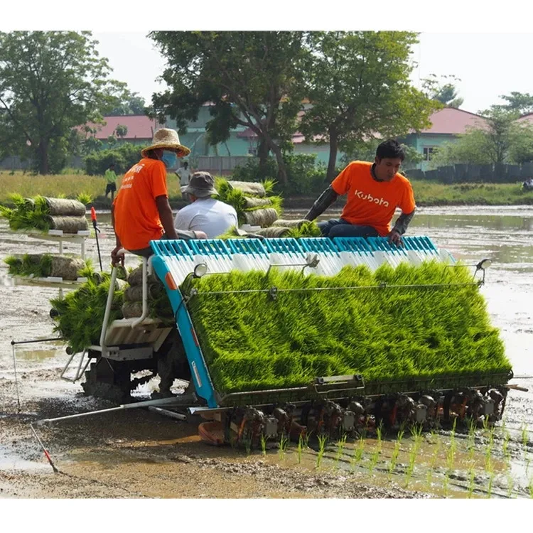 Maquinaria Agrícola Kubota 6 Transplantadora de Arroz de Tipo Montado en Fila Spv-6cmd
