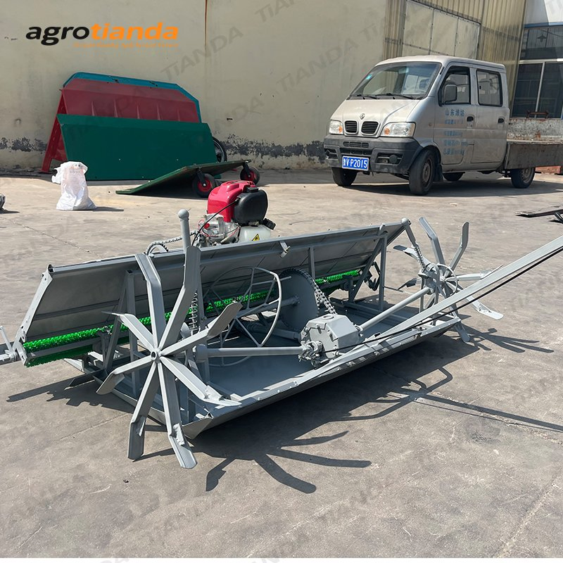 6 Filas Mini Granja de Arroz Diesel Trasplantador Pequeño Trasplantador de Mano
