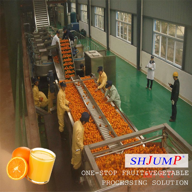 Exprimidor de Naranjas Exprimidor de Limones Exprimidor de Mangos Exprimidor de Mandarinas