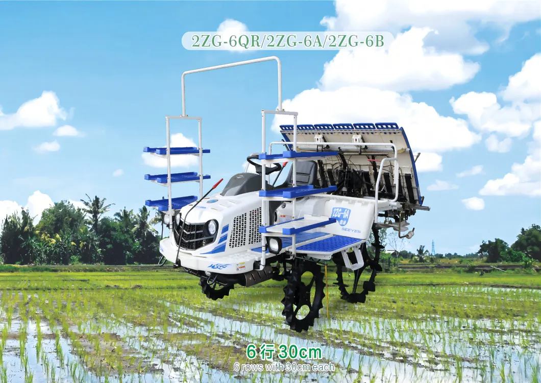 Transplantador de arroz 2ZG-6QR/2ZG-6A/2ZG-6B