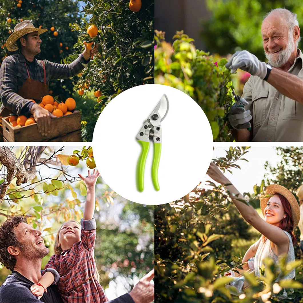 Tijeras de podar de alta calidad, herramienta de jardín, secateurs para frutas, tijeras florales, corte fácil, recorte, tijeras de podar profesionales