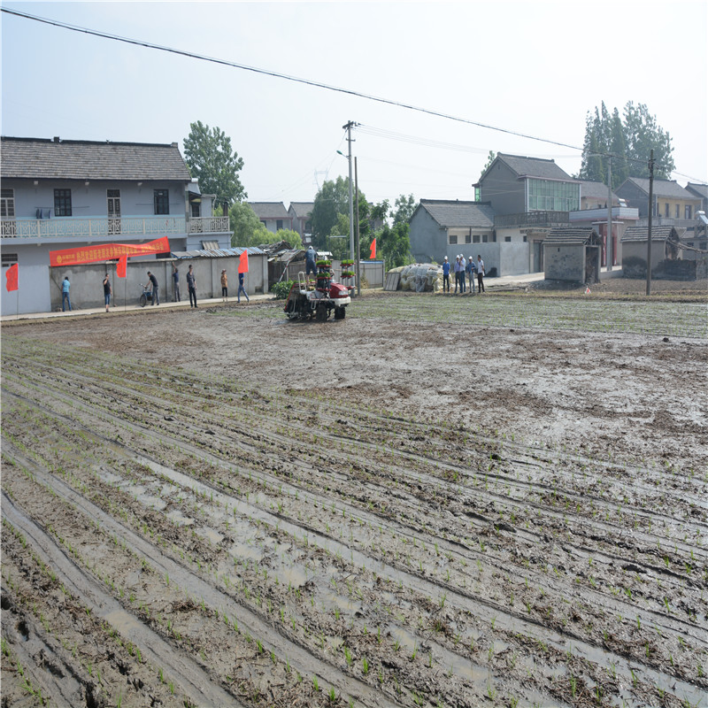 Transplantador de arroz cultivador de seis filas tipo de alta velocidad diésel