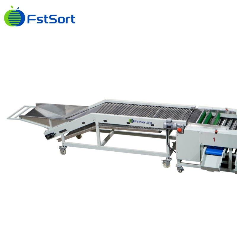 Máquina de clasificación de verduras Fstsort, clasificador de pepinillos, máquina de procesamiento de pepinillos, planta de procesamiento de verduras, equipo de procesamiento de verduras, máquina de clasificación y graduación