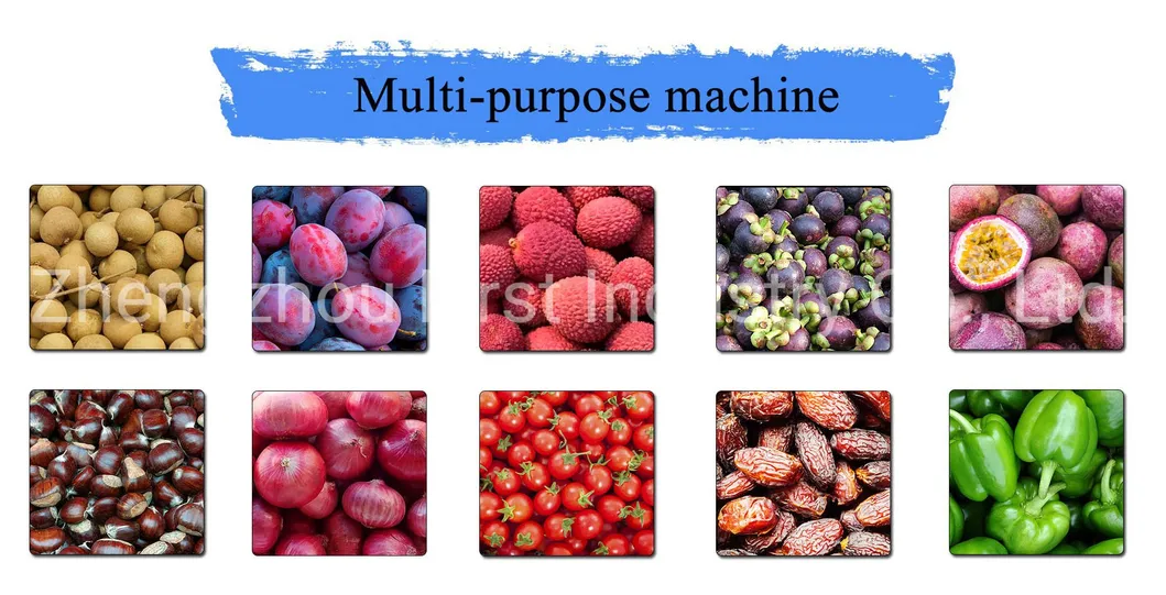 Máquina de clasificación de pepinos de gran capacidad, máquina de procesamiento de pepinos, equipo de clasificación, máquina de dimensionamiento de frutas y verduras, clasificación de rodillos en seis niveles