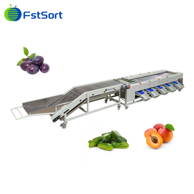 Máquina de clasificación de verduras Fstsort, clasificador de pepinillos, máquina de procesamiento de pepinillos, planta de procesamiento de verduras, equipo de procesamiento de verduras, máquina de clasificación y graduación
