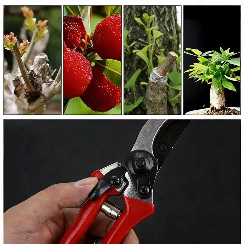 Tijeras de podar de acero profesional Sk5 para flores, jardín y árboles